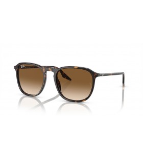 Ray-Ban RB2203 L (55 - 20) / Braun Linsen und Tortoise frame Sonnenbrillen
