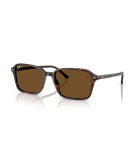 Ray-Ban RB2231F Raimond L (56 - 18) / Braun Linsen und Tortoise frame Sonnenbrillen