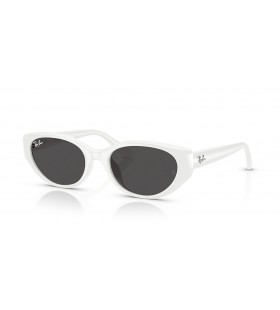 Ray-Ban RB4457D Bio-Based-L (55 - 19) / Grau Linsen und Weißen Rahmen Sonnenbrille