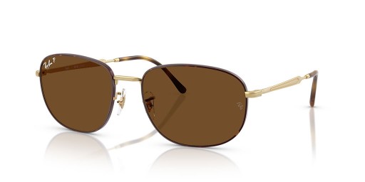Ray-Ban RB3754 XXL (60 - 19) / Καφέ φακούς και το πλαίσιο της Αβάνας γυαλιά Ηλίου