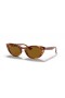 Ray-Ban RB4314N Νίνα M (54 - 18) / Καφέ φακούς και Καφετιά γυαλιά Ηλίου πλαισίων