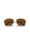 Ray-Ban RB3754 XXL (60 - 19) / Καφέ φακούς και το πλαίσιο της Αβάνας γυαλιά Ηλίου