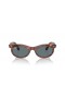Ray-Ban RB2242 Οδοιπόρων Οβάλ M (50 - 22) / Μπλε φακούς και Καφετιά γυαλιά Ηλίου πλαισίων