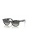 Ray-Ban RB2242 Οδοιπόρων Οβάλ L (53 - 22) / Γκρι φακούς και γυαλιά Ηλίου πλαισίων Tortoise