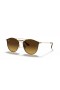 Ray-Ban RB3546 XL (52 - 20) / Καφέ φακούς και Καφετιά γυαλιά Ηλίου πλαισίων