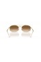Ray-Ban RB3719 L (54 - 20) / Καφέ φακούς και γυαλιά Ηλίου πλαισίων Χρυσή