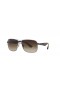 Ray-Ban RB3516 M (59 - 15) / Καφέ φακούς και Ασημένια γυαλιά Ηλίου πλαισίων