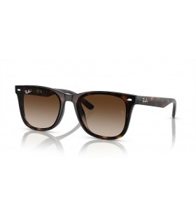 Ray-Ban RB4420 XL (65 - 18) / ÎšÎ±Ï†Î­ Ï†Î±ÎºÎ¿ÏÏ‚ ÎºÎ±Î¹ Î³Ï…Î±Î»Î¹Î¬ Î—Î»Î¯Î¿Ï… Ï€Î»Î±Î¹ÏƒÎ¯Ï‰Î½ Tortoise